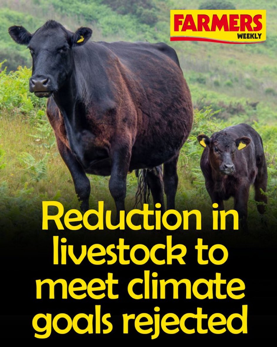 No Farmers, No Food (@nofarmsnofoods) on Twitter photo “Farming organisations have rejected calls by the Climate Change Committee (CCC) that a reduction in livestock numbers and meat consumption is needed for Wales to reduce its greenhouse gas emissions.”
~ <a href="/FarmersWeekly/">Farmers Weekly</a> “Farming organisations have rejected calls by the Climate Change Committee (CCC) that a reduction in livestock numbers and meat consumption is needed for Wales to reduce its greenhouse gas emissions.”
~ <a href="/FarmersWeekly/">Farmers Weekly</a>