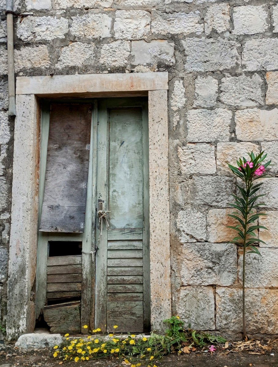Ovako izgleda kada priroda nadvlada demografiju