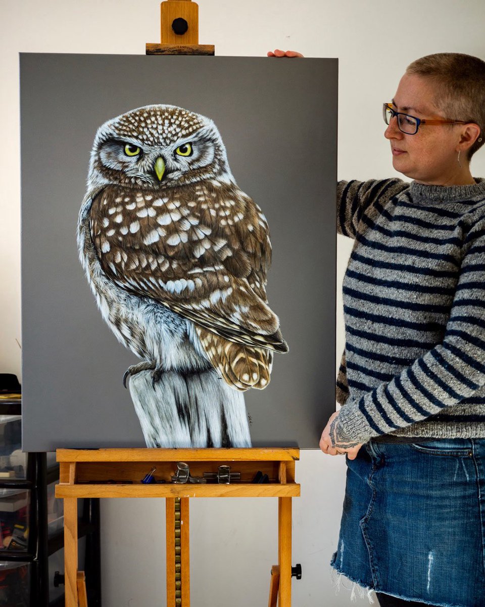 Nothing cuter than a grumpy little owl face, is there?! 🦉❤️ I loved painting this feathery fella - so full of character. The original’s still available if you'd like him glaring from your wall 😄🎨 Link to the webshop in my profile!

Athene noctua, acrylics on 20x30” canvas.