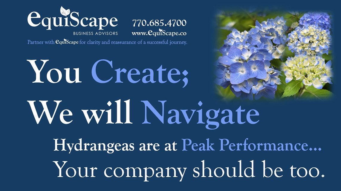 EquiScapeBA's tweet photo. Hydrangeas are at Peak Performance… Your Company should be too.  You Create; We will Navigate! Schedule your no fee Discovery Call TODAY… 770-685-4700dwhittaker@equiscape.co www.equiscape.coHome of the Equiscape Insider; Grass to Gratitude Podcast https://t.co/TMeQpQPwfR