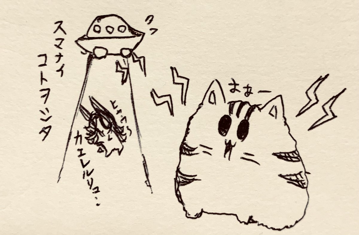 もち虎さんはUFOと交信できる🛸🐯(時々連れてかれた半ライスを返してもらってる🍚) 