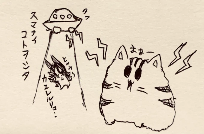 もち虎さんはUFOと交信できる🛸🐯(時々連れてかれた半ライスを返してもらってる🍚) 