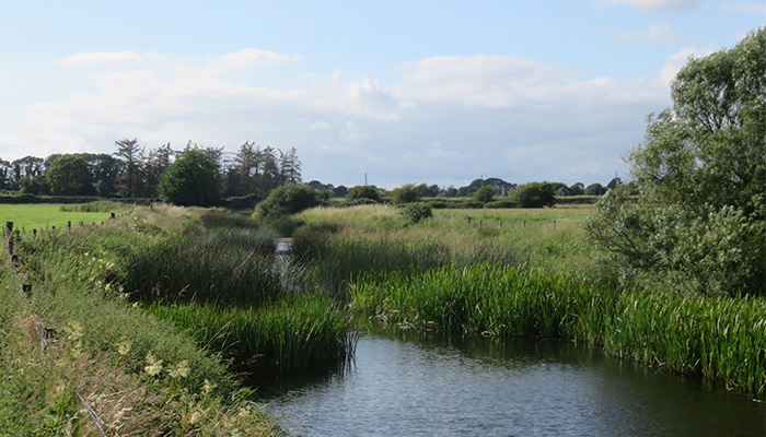 The Farming for Water EIP, which is a European Innovation Partnership (EIP), is well-bedded in &amp; a steady stream of applications are being submitted to the Farming for Water team. This EIP is funding measures which will deliver on improving water quality. bit.ly/3SCY01g
