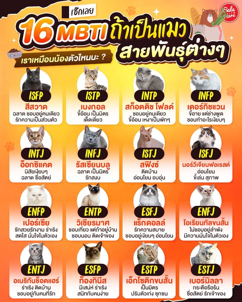 salehere1's tweet photo. 😍 16 #MBTI #ถ้าเป็นแมวสายพันธุ์ต่างๆ 🐱 มาดูกันดีกว่า ว่าเราเหมือนน้องตัวไหน ? ✨ ส่วนตัวแอดเองได้น้องรัสเซียนบลู แล้วทุกคนละได้น้องตัวไหนกันบ้าง มาเมนต์บอกกันได้น้า หรือใครยังไม่ชัวร์ MBTI ของตัวเอง ก็ไปเช็กแล้วค่อยกลับมาดูกันได้น้า แชร์เก็บไว้ก่อนได้เลย 🥰
#SaleHere #เซลเฮียร์ https://t.co/wbcWS0jYmi