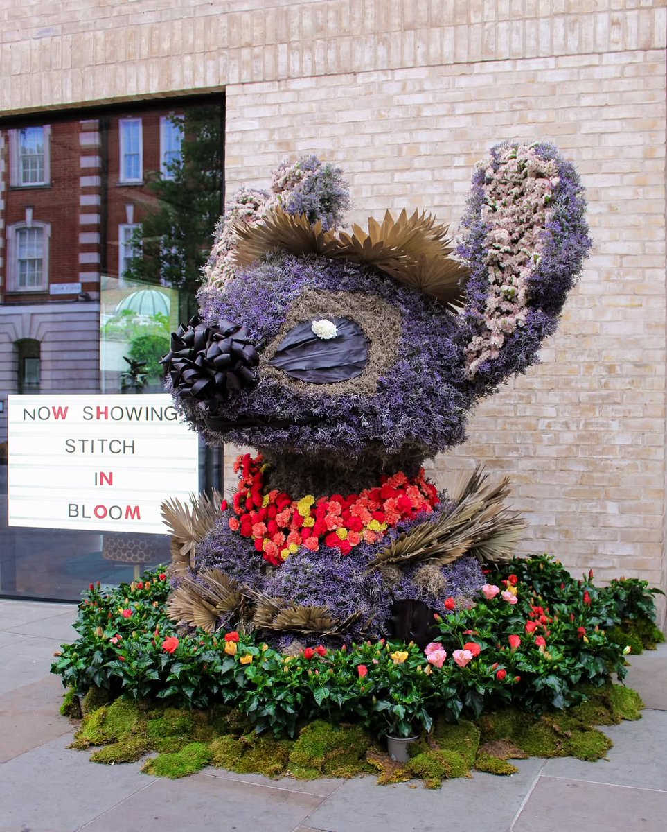Wow, wow, wow! Chelsea in Bloom is here and the displays look incredible. Make sure you visit the FREE flower show across Chelsea this week, it's live until 25th May🌻 [📸 @luke_through_my_lens] #LondonMakesItPossible #VisitLondon  ow.ly/iwhp50VVHEc
