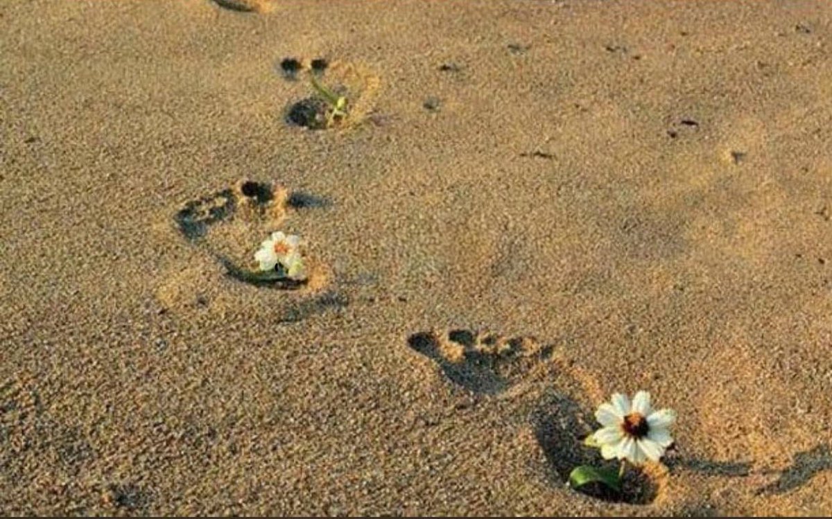 ياسر عواد الحربي tweet media