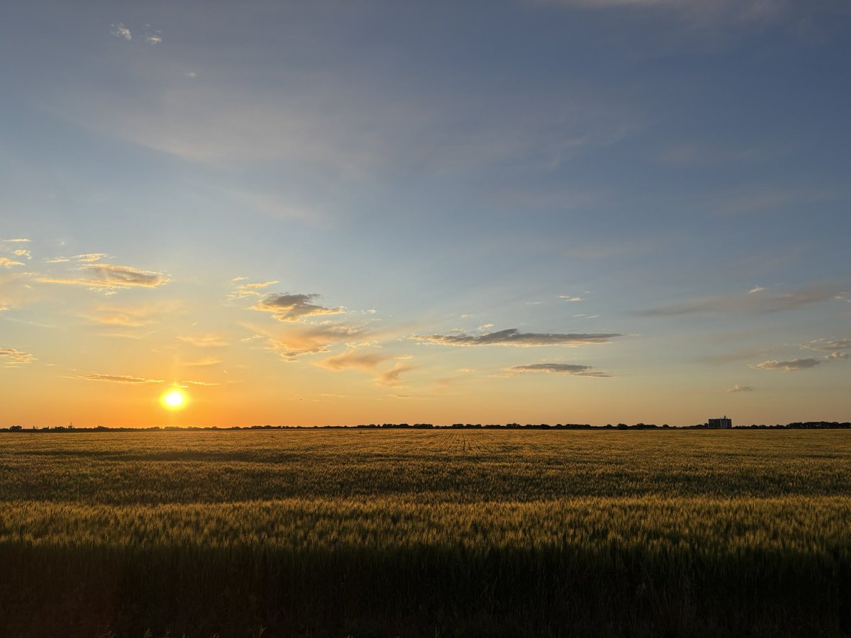 You can take the high-rises, I’ll keep the wheat fields.