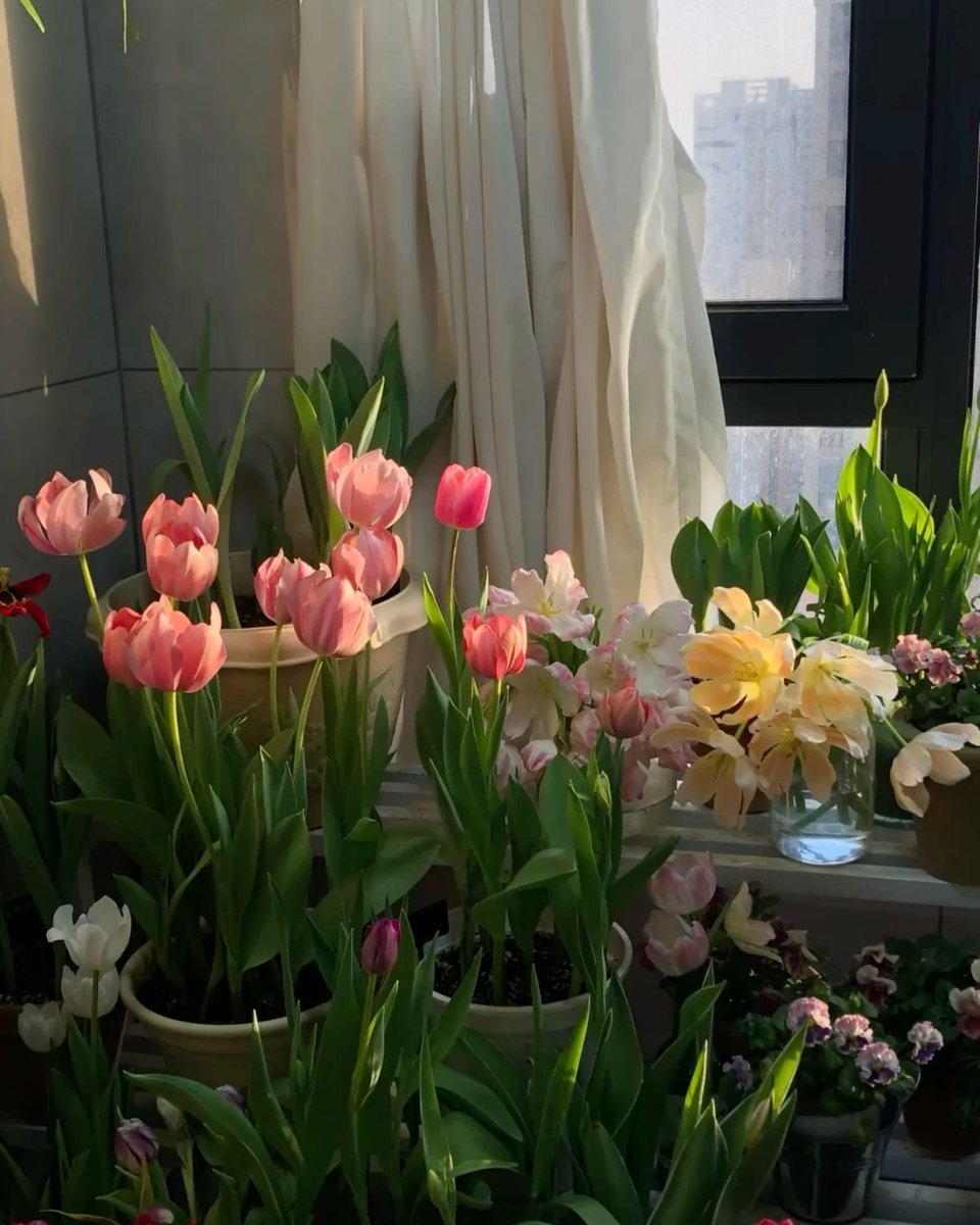 ✮⋆˙ (@dmugg7) on Twitter photo 