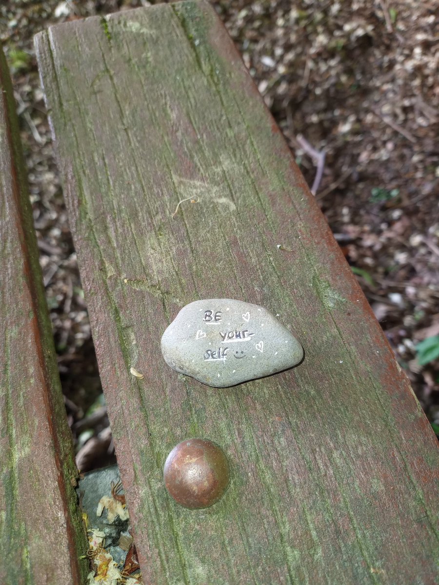 Beim Gassi gehn im Wald gefunden und gleich wird der Tag schöner ☺️
