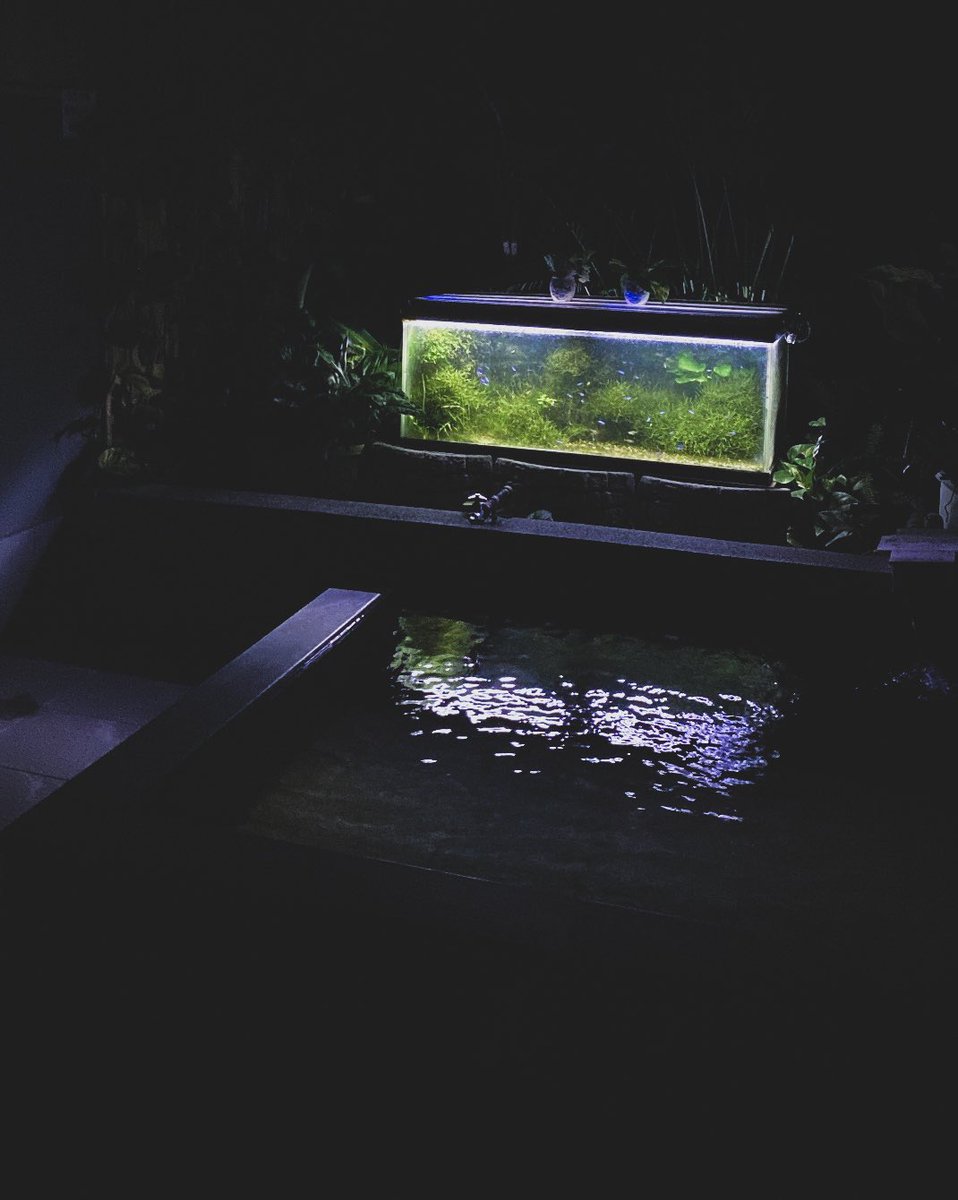 shosinkun's tweet photo. めちゃめちゃいい温泉見つけちゃったかもしれない。
もうだいぶ夜も暑くなってきたから露天がいいなー☺️ https://t.co/v2FUtN90V1