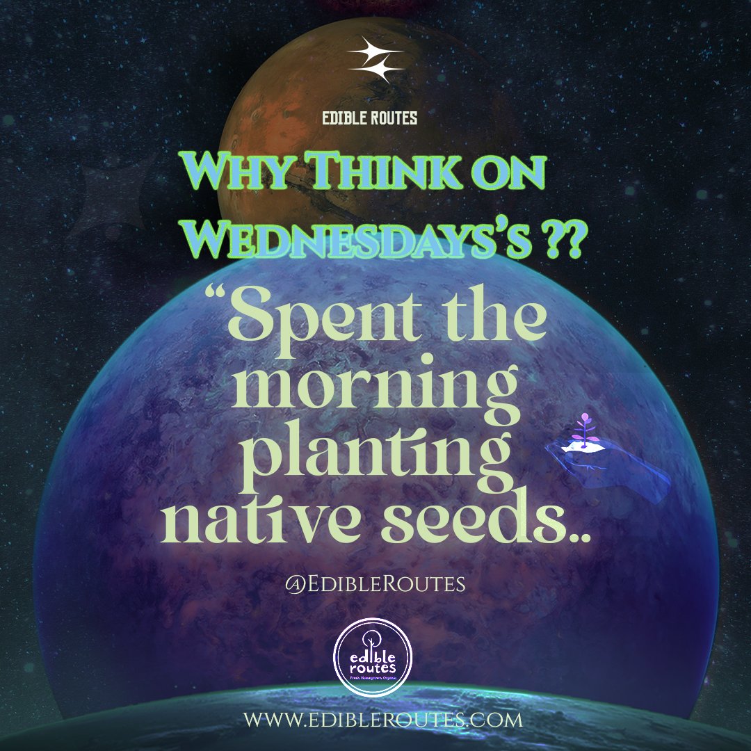 🌱 Here's why it matters
Native plants are crucial for a healthy ecosystem! 
They provide essential food and habitat for local wildlife, support pollinators like bees and butterflies, and help improve soil health and water retention.   #NativePlants #EcosystemHealth #Biodiversity