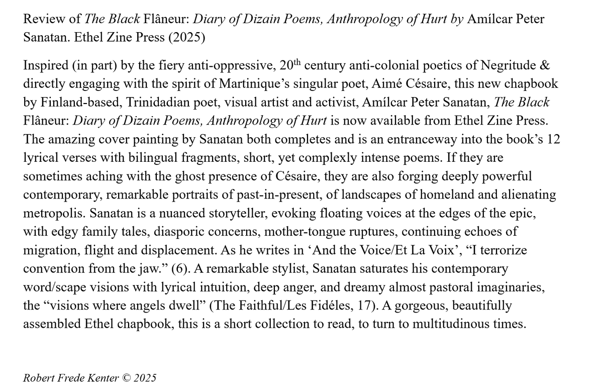 frede_kenter's tweet photo. A new review for @TopTweetTuesday. Honored to review a new book by Amilcar Peter Sanatan from @the_ethelzine ❤️‍🔥
The book can be purchased here:
https://t.co/vpabHUWXat https://t.co/4UGIynC6ou