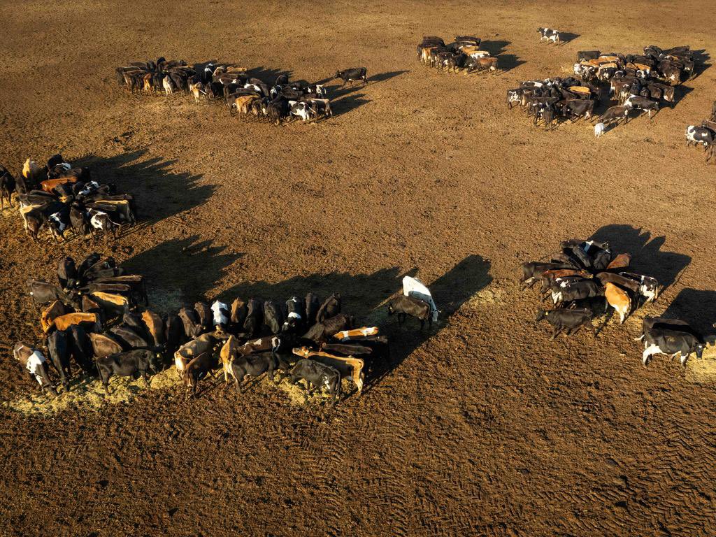 Hamish Jones tweet media