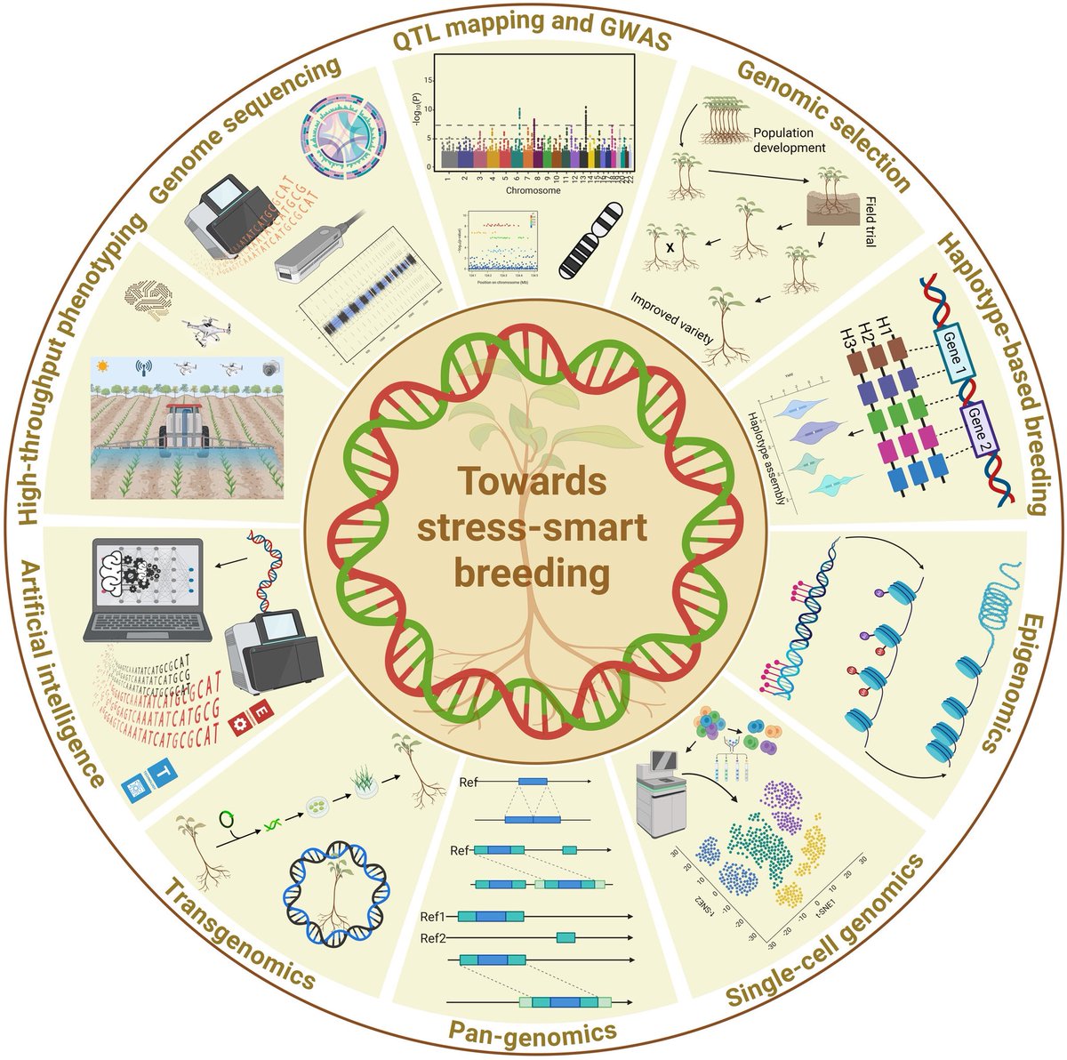 Ali Raza (@ale_raza6) on Twitter photo Comprehensive application of fast-forward #genomics tools for #stress-smart #breeding within the framework of #GAB for designing #salinity-smart plants 🌱🌾
🔗 onlinelibrary.wiley.com/doi/10.1111/pb…
<a href="/AbioticStress/">Abiotic stress in plants (Green Survivors)</a> <a href="/liuxin_genomics/">liuxin_genomics</a> <a href="/TrendsGenetics/">Trends in Genetics</a> <a href="/SEBiology/">SEB @sebiology.bsky.social</a> <a href="/rajvarshney/">Rajeev Varshney FRS</a> <a href="/AABiologists/">AAB @aabiologists.bsky.social</a> <a href="/IBMCP/">IBMCP - Instituto de Biología Molecular y Celular</a> Comprehensive application of fast-forward #genomics tools for #stress-smart #breeding within the framework of #GAB for designing #salinity-smart plants 🌱🌾
🔗 onlinelibrary.wiley.com/doi/10.1111/pb…
<a href="/AbioticStress/">Abiotic stress in plants (Green Survivors)</a> <a href="/liuxin_genomics/">liuxin_genomics</a> <a href="/TrendsGenetics/">Trends in Genetics</a> <a href="/SEBiology/">SEB @sebiology.bsky.social</a> <a href="/rajvarshney/">Rajeev Varshney FRS</a> <a href="/AABiologists/">AAB @aabiologists.bsky.social</a> <a href="/IBMCP/">IBMCP - Instituto de Biología Molecular y Celular</a>