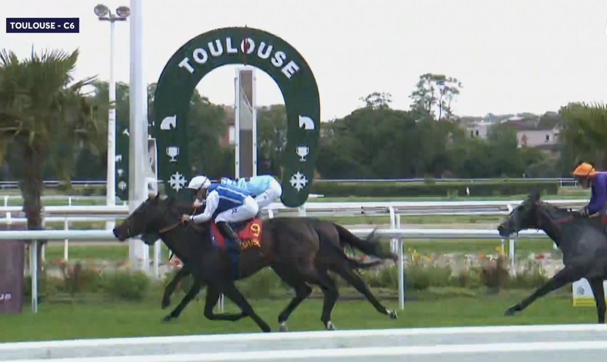 Wildenstein Breeding - FanPage (@bleuballymore) on Twitter photo 🏆 CROQUIS, 3yo colt by <a href="/DarleyEurope/">Darley in Europe</a> PINATUBO from MISS LARA, wins the Listed Derby du Languedoc with <a href="/maximeguyon_off/">Maxime Guyon</a> at Toulouse, trained by <a href="/teamchferland/">CH Ferland Racing</a>
1️⃣st foal from MISS LARA, a daughter of 1.000 Guineas winner MISS FRANCE
💙🩵 CROQUIS sold by Diane Wildenstein 🏆 CROQUIS, 3yo colt by <a href="/DarleyEurope/">Darley in Europe</a> PINATUBO from MISS LARA, wins the Listed Derby du Languedoc with <a href="/maximeguyon_off/">Maxime Guyon</a> at Toulouse, trained by <a href="/teamchferland/">CH Ferland Racing</a>
1️⃣st foal from MISS LARA, a daughter of 1.000 Guineas winner MISS FRANCE
💙🩵 CROQUIS sold by Diane Wildenstein
