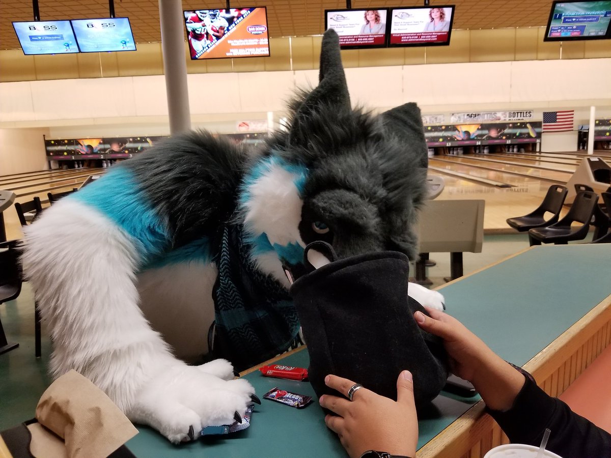 found an old picture...
Cheese trap!
<a href="/Nebs_Sergal/">Nebs💙</a>