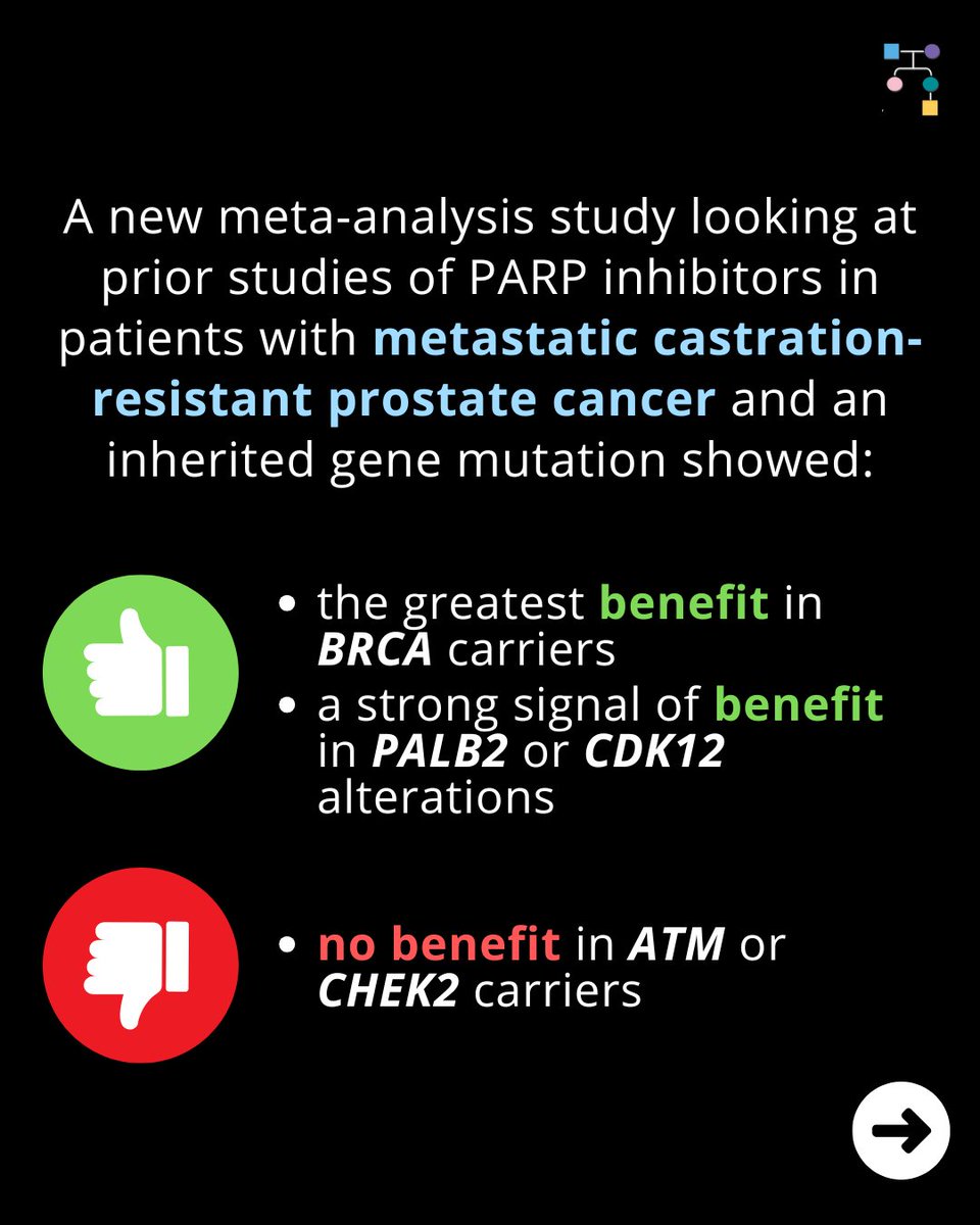inheritedcancer's tweet photo. A meta-analysis study looking at prior studies of #PARPinhibitors in those with metastatic castration-resistant #prostatecancer showed the greatest benefit in #BRCA carriers and no benefit in #ATM or #CHEK2 carriers. Learn more at β€Έ
https://t.co/jnaMUGKZoq https://t.co/mKmXokLWCz