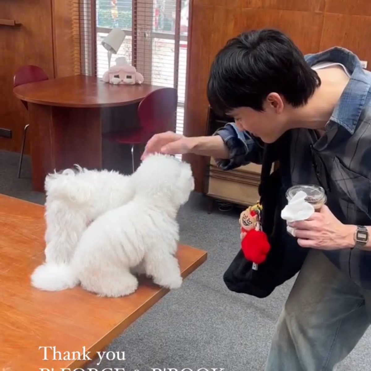 forcebookskid's tweet photo. cutest date fr 

#forcebook #ฟอสบุ๊ค https://t.co/zcvx9z1RdJ