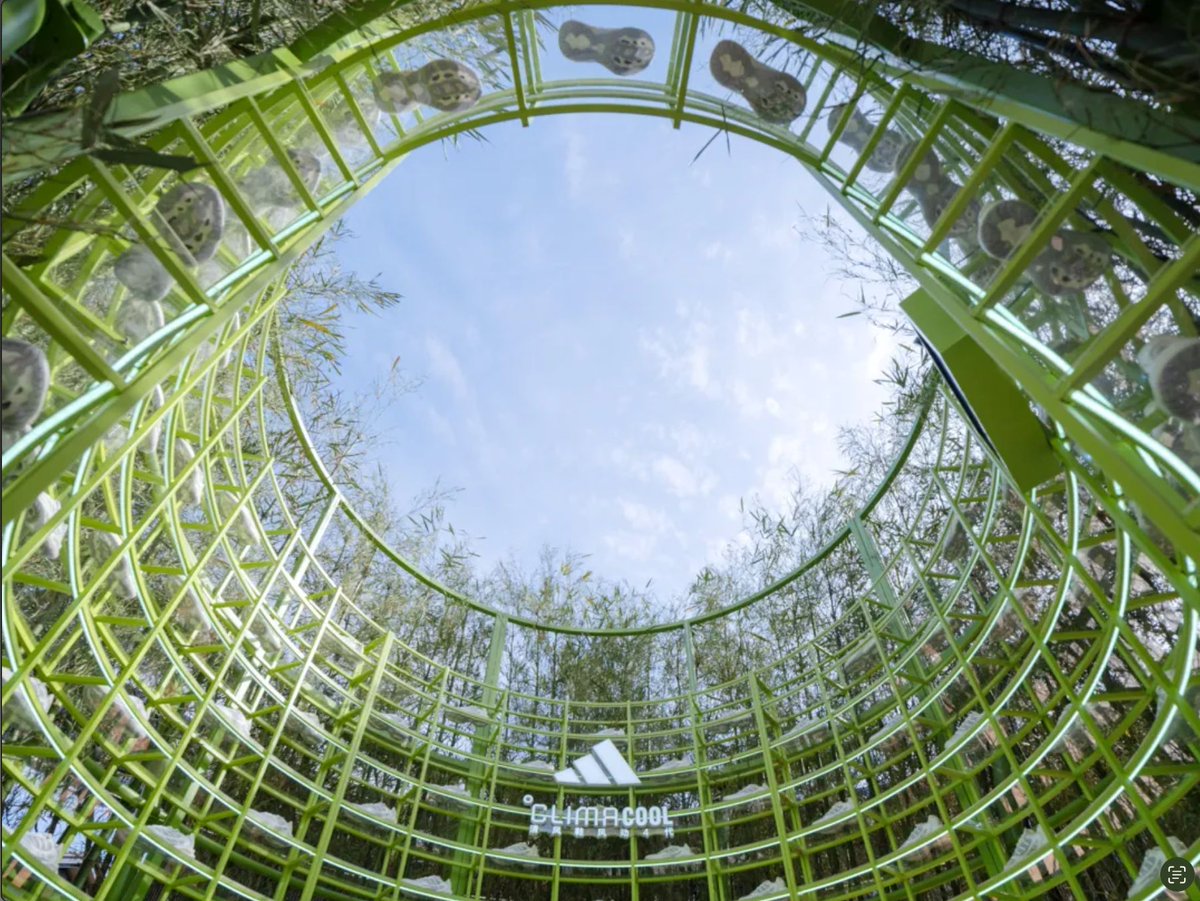 designboom's tweet photo. line+ crafts circular live bamboo teahouse responding to chengdu's urban climate https://t.co/32nbuEE1tz https://t.co/SE2bw9uL0u