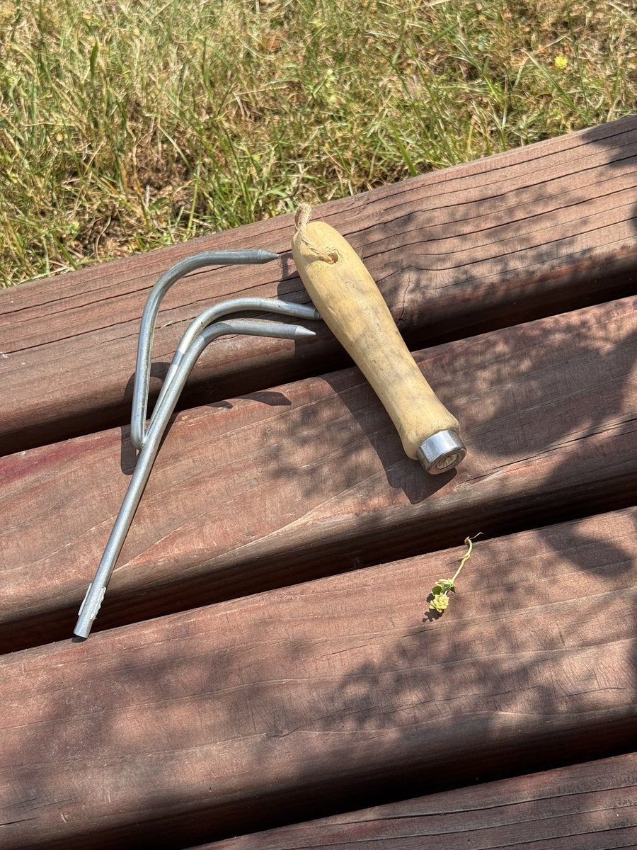 blackforest_24's tweet photo. Es läuft soooo super bei mir. Also wirklich so richtig super, also so richtig geil. Na, beneidet ihr mich alle ???!!! #garten #unkraut #scheissarbeitwirdvielgeilermitscheisswerkzeug https://t.co/jWva2jAR4k