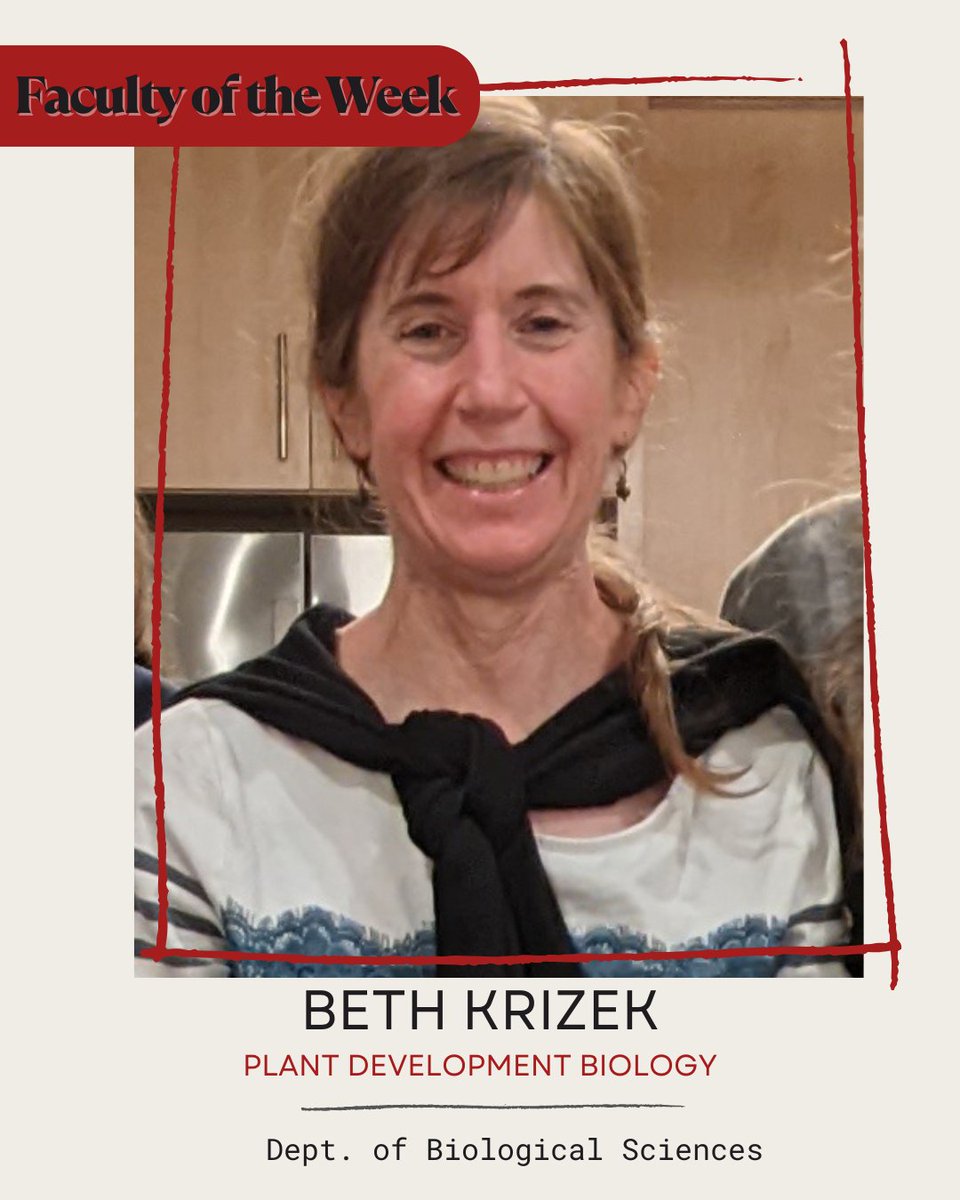 UofSC Biological Sciences tweet media