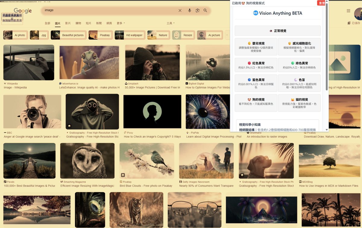 設計了一個chrome extensions,
讓關心小狗能不能看我的網站設計師設計網頁時可以預覽不同視覺📷