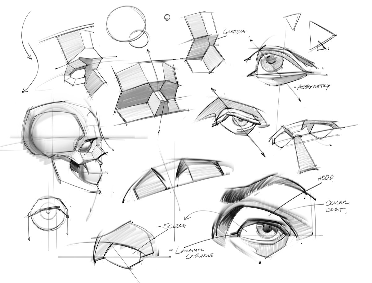 saqomolo's tweet photo. Morning eye anatomy studies! #sketches #eyes #sclera #iris #pupiil #gottogetbetter #structure #constructiondrawing #anatomy #humananatomy #figuredrawing #gesturedrawing #assymetry #goals #lineart #shading #eyeball #brows https://t.co/JRbgR5U8Wu