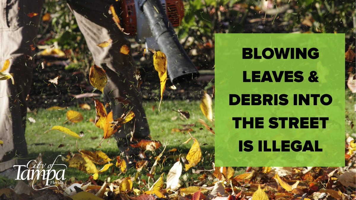 Doing yard work? Remember, blowing leaves and grass clippings into the street is ILLEGAL because it can clog storm drains and lead to local flooding problems. 🍃 
 
Reuse your yard waste or dispose of it through our City's curbside yard waste collection program.