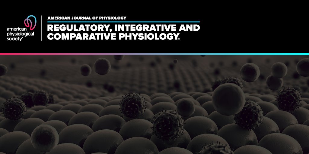 American Physiological Society (@apsphysiology) on Twitter photo READ: <a href="/AJPRegu/">AJP-Regulatory, Integrative Comparative Physiology</a> study finds a single bout of hot water immersion produces greater thermoregulatory, cardiovascular and immune responses compared to traditional or far infrared sauna: ow.ly/8zOo50VPjUA #ArticlesInPresS READ: <a href="/AJPRegu/">AJP-Regulatory, Integrative Comparative Physiology</a> study finds a single bout of hot water immersion produces greater thermoregulatory, cardiovascular and immune responses compared to traditional or far infrared sauna: ow.ly/8zOo50VPjUA #ArticlesInPresS