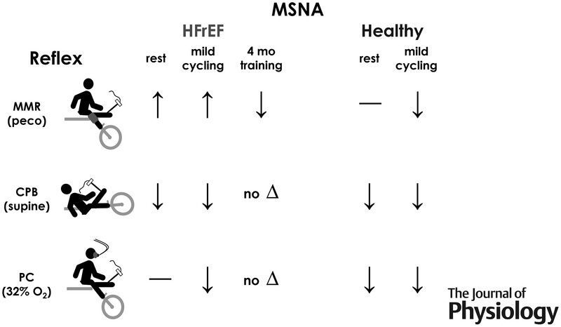 Journal of Physiology (@jphysiol) on Twitter photo Recent #Research by Catherine F. Notarius (<a href="/UHN_Research/">UHN Research</a> <a href="/UofTKPE/">U of T Kinesiology & Phys Ed</a>) et al. investigates mechanisms of sympathetic excitation during cycling exercise in heart failure with reduced ejection fraction 🚴 🫀
📜 Read it here: buff.ly/0UxDFRX Recent #Research by Catherine F. Notarius (<a href="/UHN_Research/">UHN Research</a> <a href="/UofTKPE/">U of T Kinesiology & Phys Ed</a>) et al. investigates mechanisms of sympathetic excitation during cycling exercise in heart failure with reduced ejection fraction 🚴 🫀
📜 Read it here: buff.ly/0UxDFRX