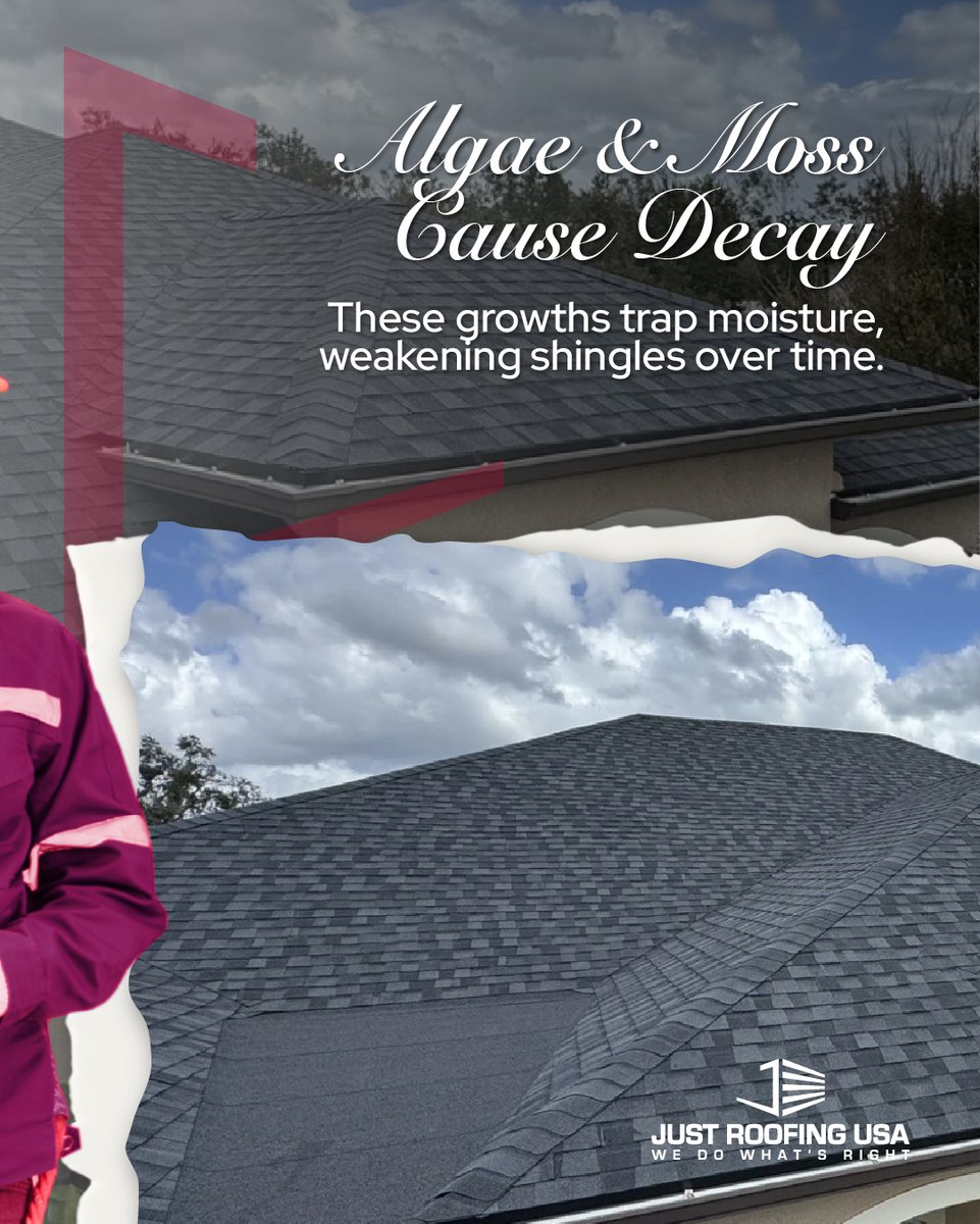 JustRoofingUSA's tweet image. 🧹 A dirty roof isn’t just ugly—it’s a threat to your home! 🏠

Algae, moss, and debris can weaken your shingles and lead to costly repairs. 

Book an inspection with Just Roofing USA: hubs.ly/Q03nd_Mb0 

#JustRoofingUSA #LuxuryRoofing #RoofingBlog #Ohio #Columbus#Powell