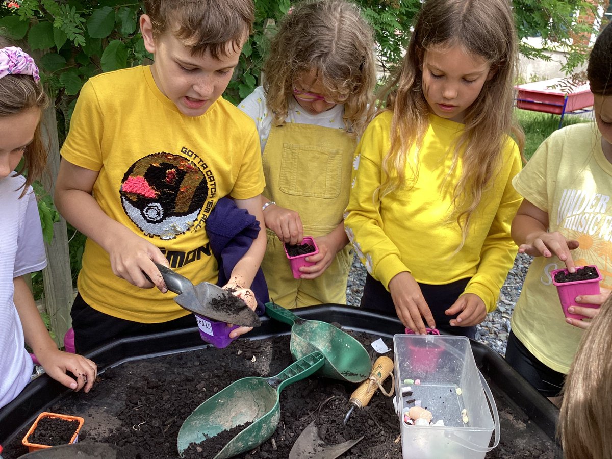 Blwyddyn 3 yn dathlu Diwrnod Gwenyn y Byd. 🐝
Year 3 celebrating World Bee Day. 🐝