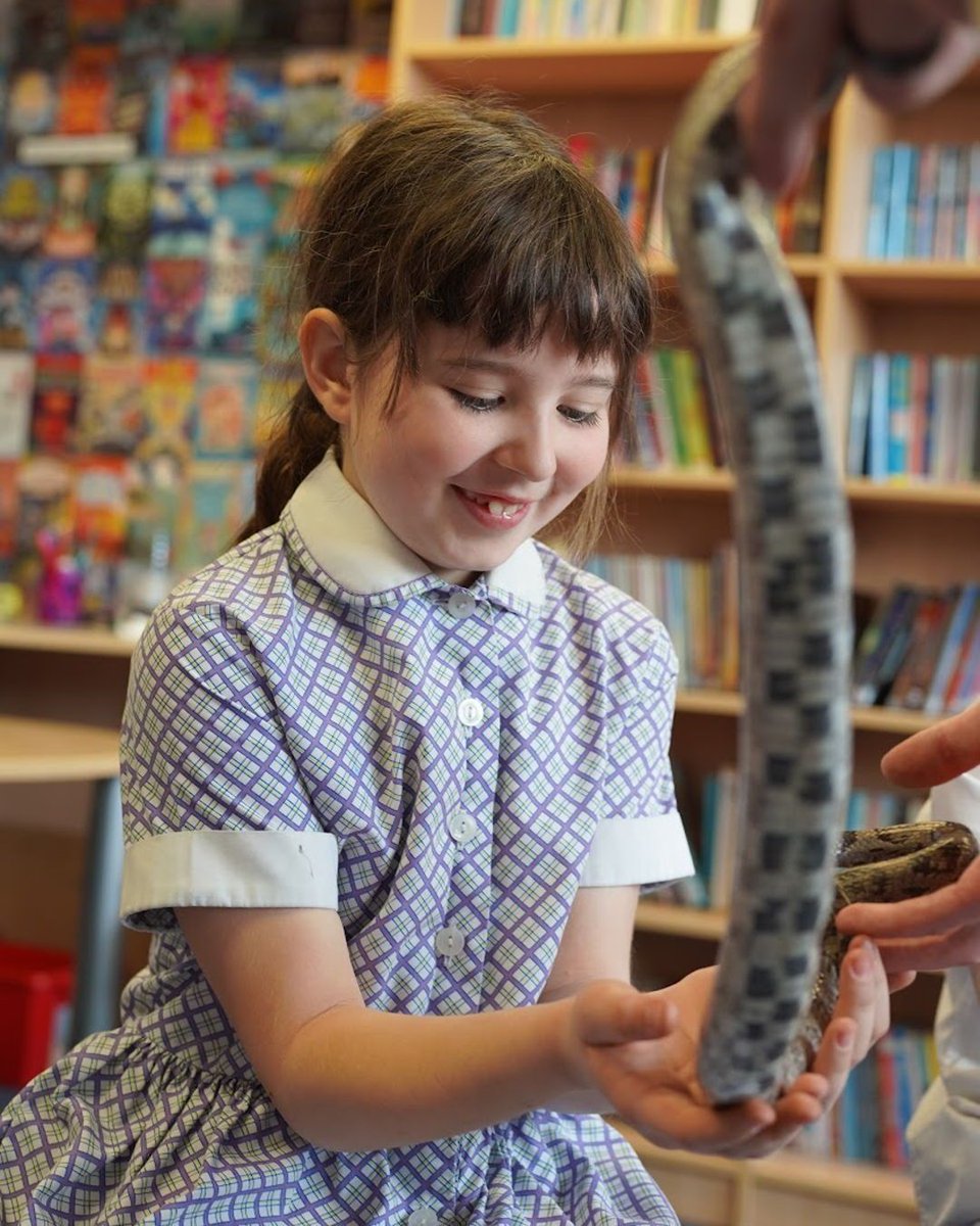 We were thrilled to welcome @zoolabuk for a fantastic Rainforest Discovery session! The children expanded their already impressive knowledge through an in-depth, interactive presentation about tropical rainforest habitats.