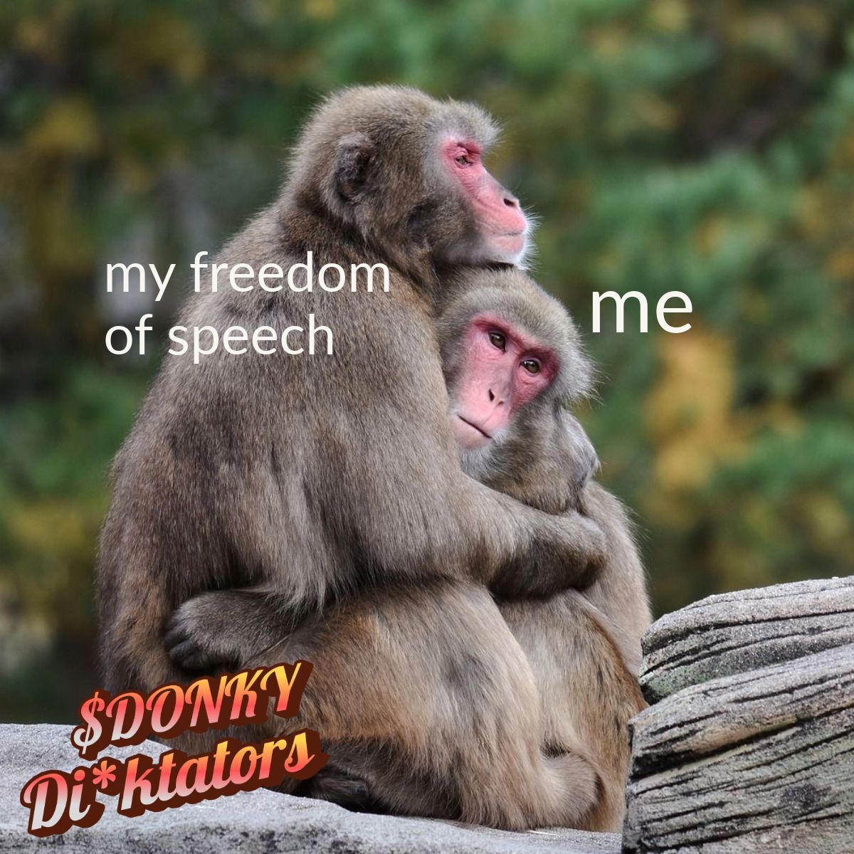 TNHBBY10's tweet photo. YOUR #freedomofspeech is at risk!

Join https://t.co/trwAvKQW0m to make a  (comical) stand.

Don't let the #Dicktators take away your natural rights.

$DONKY; Built on @base https://t.co/u2bfZ6YUKo