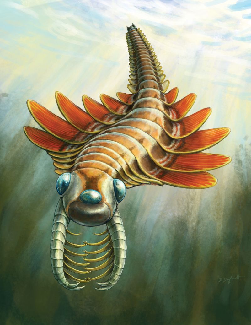 Atlantic Coast Fisheries News for the week of May 19th: Applications sought for GA DNR’s Coastal Advisory Council, courtesy boat inspections during Memorial Day weekend in SC, and a 500-million-year-old 3-eyed sea creature! Read the newsletter here: conta.cc/4keUiqX