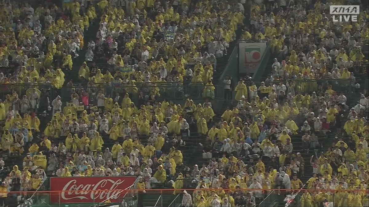 まだ週の中日やわ雨降ってるわ22時過ぎてんのにこんなに残ってる阪神ファン恐ろしすぎる宗教言われても何も言えない