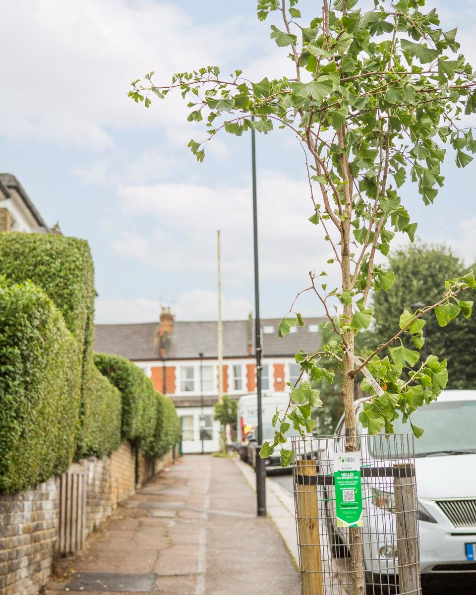 Newham London ๐ (@newhamlondon) on Twitter photo ๐ณ Trees are natureโs air conditioners - and you can plant one on your street! <a href="/TreesforStreets/">Trees for Streets</a> is now in Newham, helping residents sponsor trees that cool, clean & beautify our neighbourhoods.
Sponsor a tree today, visit: orlo.uk/n8oaN ๐ณ Trees are natureโs air conditioners - and you can plant one on your street! <a href="/TreesforStreets/">Trees for Streets</a> is now in Newham, helping residents sponsor trees that cool, clean & beautify our neighbourhoods.
Sponsor a tree today, visit: orlo.uk/n8oaN
