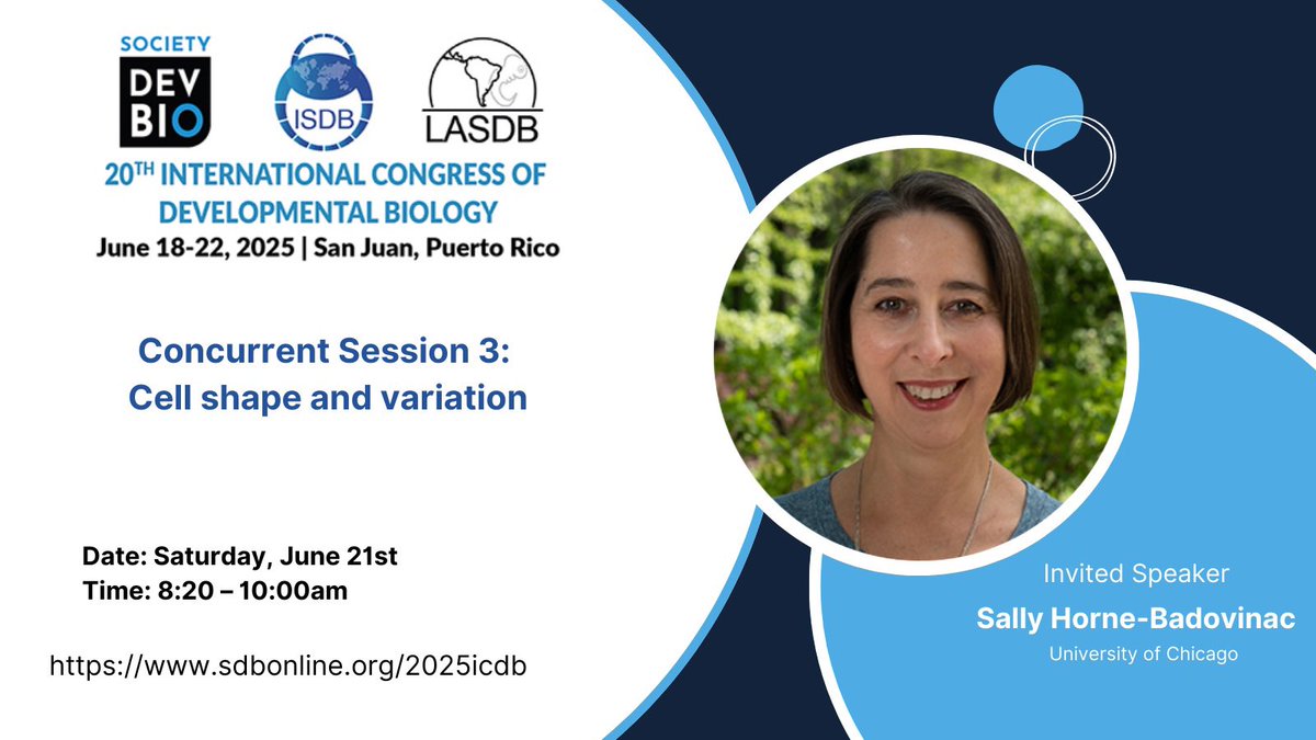 Society for Developmental Biology (@socdevbio) on Twitter photo 🔈 Sally Horne-Badovinac <a href="/SHBLab/">Horne-Badovinac Lab</a>, invited speaker at #ICDB2025, uncovers the mechanisms of planar cell polarity and tissue organization using Drosophila egg chambers. 🍳🪰 🔈 Sally Horne-Badovinac <a href="/SHBLab/">Horne-Badovinac Lab</a>, invited speaker at #ICDB2025, uncovers the mechanisms of planar cell polarity and tissue organization using Drosophila egg chambers. 🍳🪰