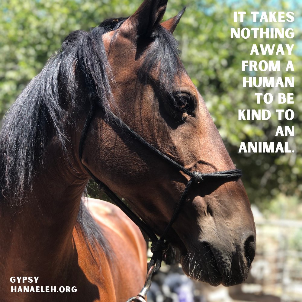 Hanaeleh (@hanaeleh) on Twitter photo 