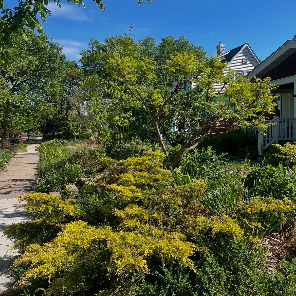 obrien_emj's tweet image. A lovely visit home to Minneapolis ♥️