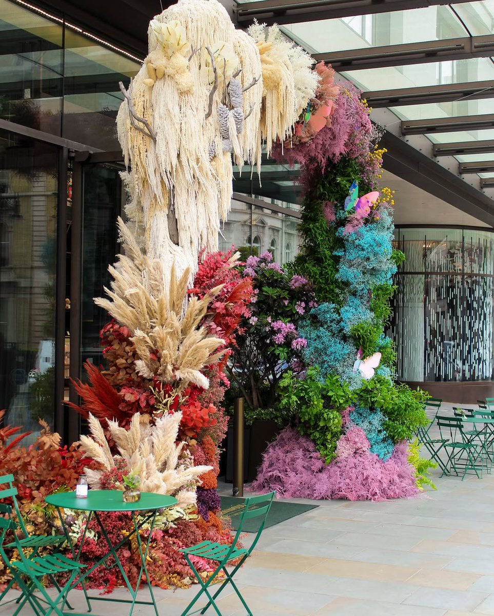 Belgravia in Bloom has arrived and the displays look fabulous! This FREE flower across Belgravia it's live until 26th May @belgraviavillage🌻 [📸 @luke_through_my_lens] #LondonMakesItPossible #VisitLondon  ow.ly/bgtp50VVHFs