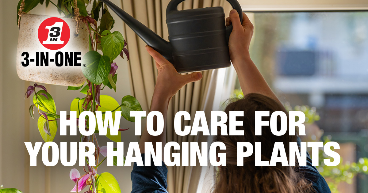 Your hanging plants won’t tell you, but they’ll let you know when they’re thirsty.

1. When the top inch of soil feels dry, give them a good drink and let the extra water drain out (nobody likes soggy roots)!

2. Treat them to a balanced liquid fertiliser once a month - a leafy
