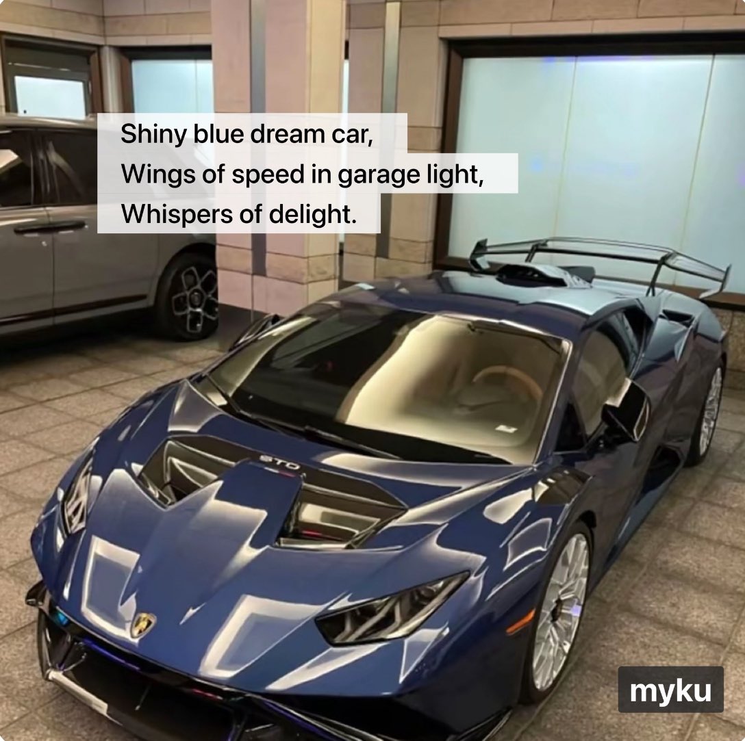 $MYKU is breaking out! 

With a global App launch and a team of industry veterans from -

Snapchat, Nike, and Ford, this would be stupid to fade.