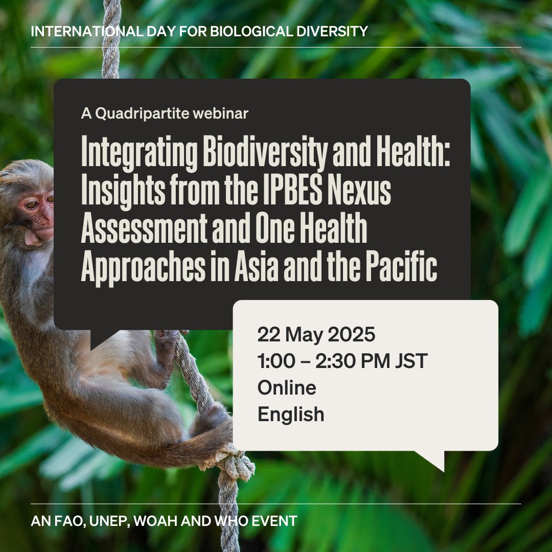 World Organisation for Animal Health (@woah) on Twitter photo Join us on 22 May for a special webinar, hosted by the Quadripartite, marking the International Day for Biological Diversity, where experts will explore the vital link between hashtag#biodiversity and animal health.
This webinar will explore how healthy ecosystems support the Join us on 22 May for a special webinar, hosted by the Quadripartite, marking the International Day for Biological Diversity, where experts will explore the vital link between hashtag#biodiversity and animal health.
This webinar will explore how healthy ecosystems support the