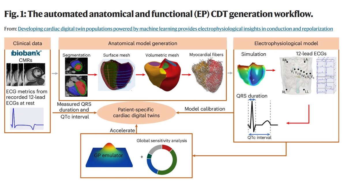 Nature Cardiovascular Research (@naturecvr) on Twitter photo Research| Qian, Ugurlu, Fairweather, et al. generate more than 3800 #CardiacDigitalTwins from imaging and ECGs to reveal electrophysiological insights and their links to cardiac function, lifestyle, mental health and clinical outcomes. 
rdcu.be/em0NT Research| Qian, Ugurlu, Fairweather, et al. generate more than 3800 #CardiacDigitalTwins from imaging and ECGs to reveal electrophysiological insights and their links to cardiac function, lifestyle, mental health and clinical outcomes. 
rdcu.be/em0NT