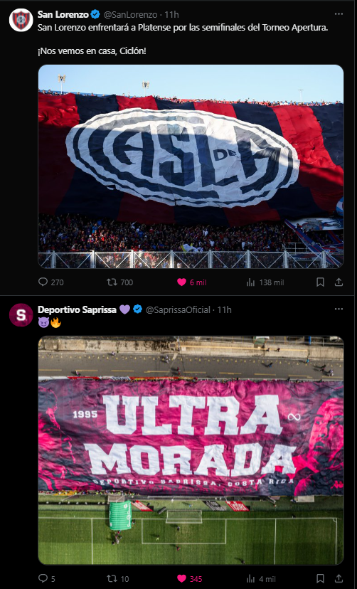 mis 2 amores:
