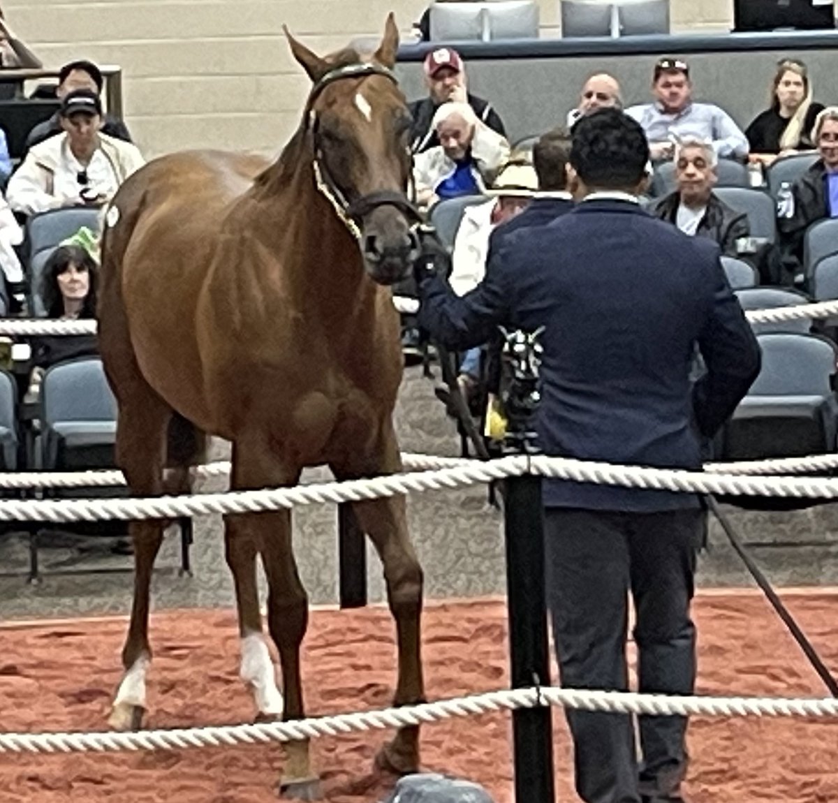 Scott Wykoff (@scottwykoffwbal) on Twitter photo What a <a href="/FasigTiptonCo/">Fasig-Tipton</a> 2yo in Training sale following a <a href="/PreaknessStakes/">Preakness Stakes</a> for the ages at <a href="/MDStateFair/">Maryland State Fair</a> in #Timonium w/new sale records for gross/average/median. A $1.1 million filly topped the sale, 1 of four 7 figure offerings <a href="/mwmracing/">Michael W. McCarthy</a> <a href="/Romansracing/">Dale Romans</a> <a href="/TerryFinley11/">Terry Finley</a> <a href="/DougONeill1/">Doug O'Neill</a> What a <a href="/FasigTiptonCo/">Fasig-Tipton</a> 2yo in Training sale following a <a href="/PreaknessStakes/">Preakness Stakes</a> for the ages at <a href="/MDStateFair/">Maryland State Fair</a> in #Timonium w/new sale records for gross/average/median. A $1.1 million filly topped the sale, 1 of four 7 figure offerings <a href="/mwmracing/">Michael W. McCarthy</a> <a href="/Romansracing/">Dale Romans</a> <a href="/TerryFinley11/">Terry Finley</a> <a href="/DougONeill1/">Doug O'Neill</a>