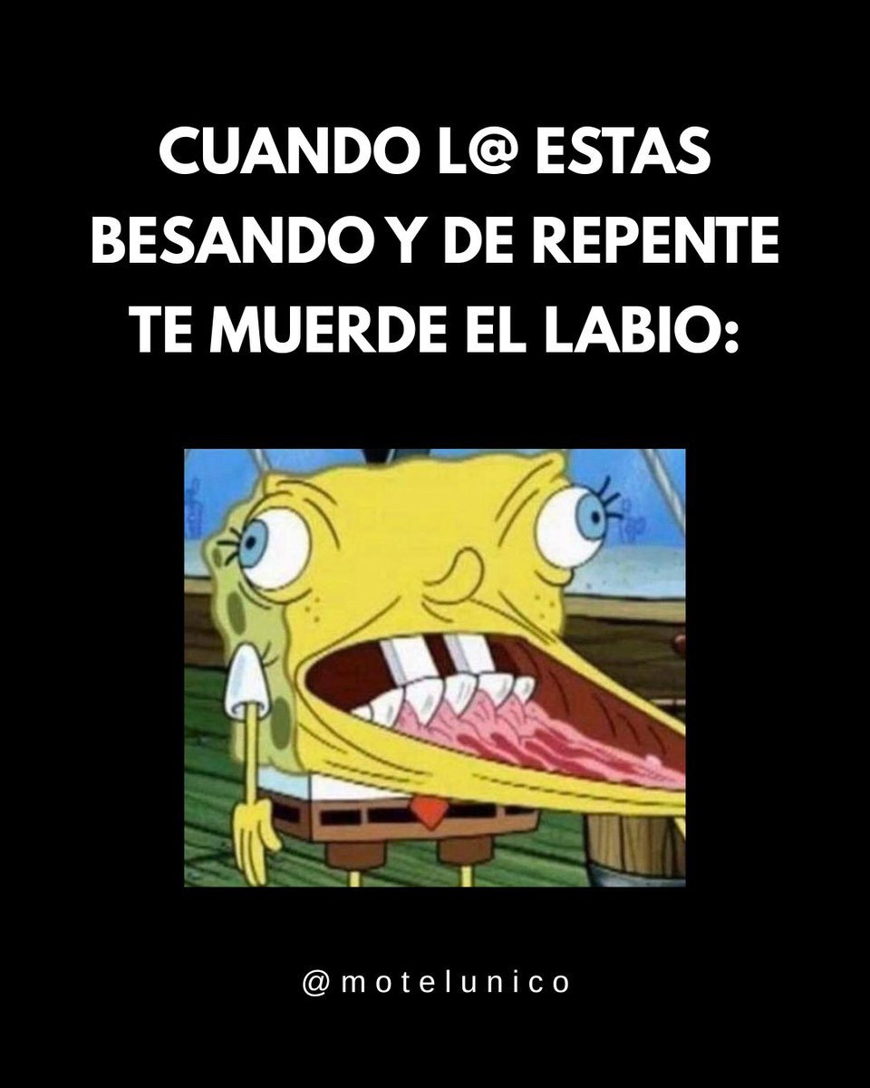 Motel Único (@motelunico) on Twitter photo 