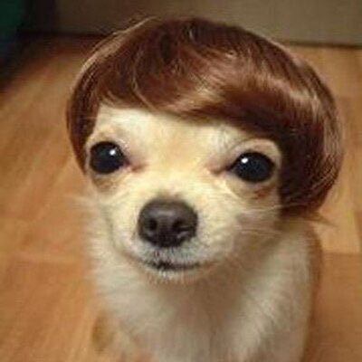 THE FRINGE