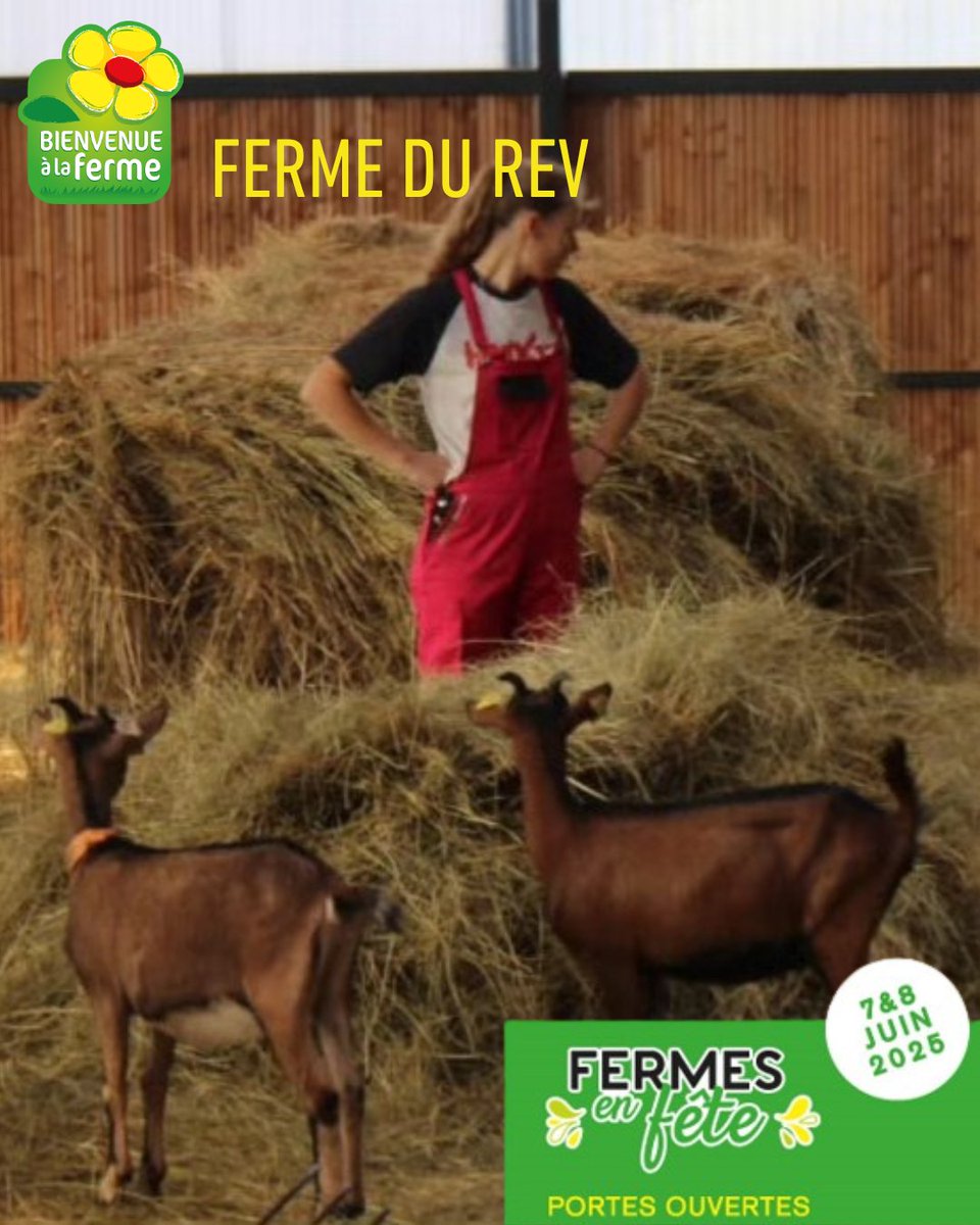 A la rencontre de nos fermes - Chez Lisa Wroblewski à Thil
🐐 À la Ferme du REV à Thil, Lisa Wroblewski vous ouvre les portes de son univers laitier.

Découvrir les fermes participant aux portes ouvertes « Fermes en fête » :: bienvenue-a-la-ferme.com/haute-garonne/…

📍Les 7 &amp; 8 juin